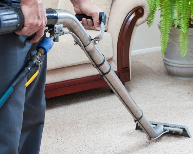 professional cleaned carpets