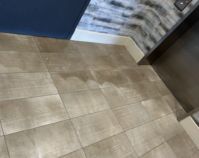 tile & grout